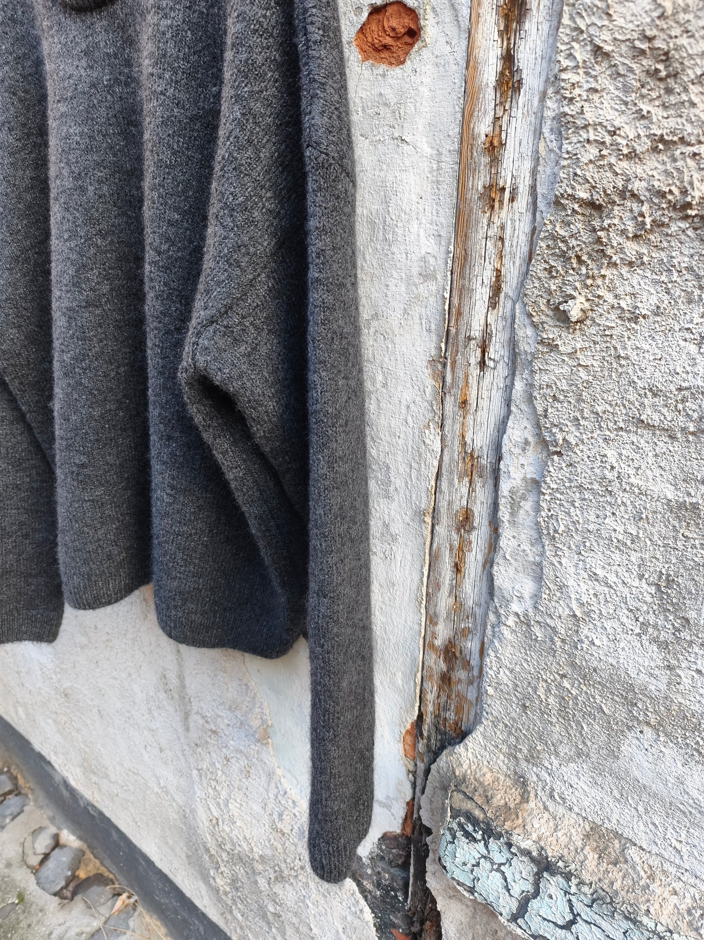 The New Society trui